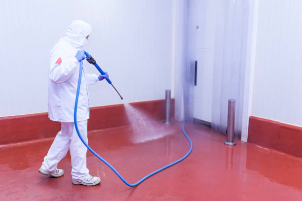 Best House Exterior Washing  in Social Circle, GA